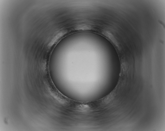 X0000099460159200805161055