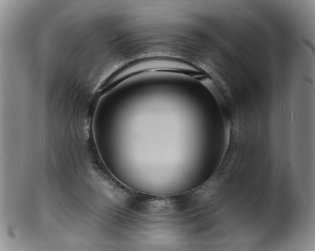 X0000099460160200805161055