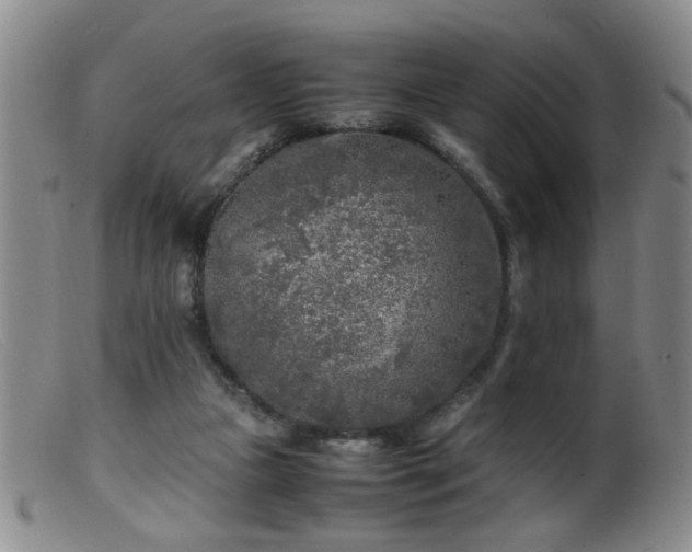 X0000099460161200805161055