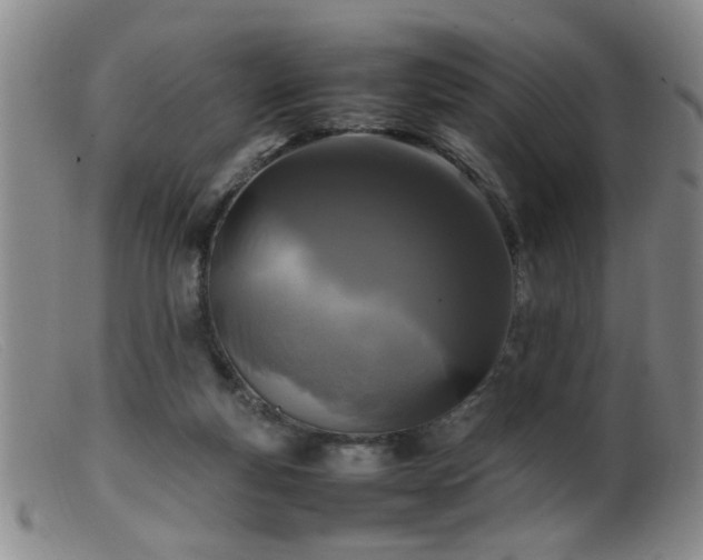 X0000099460163200805161055