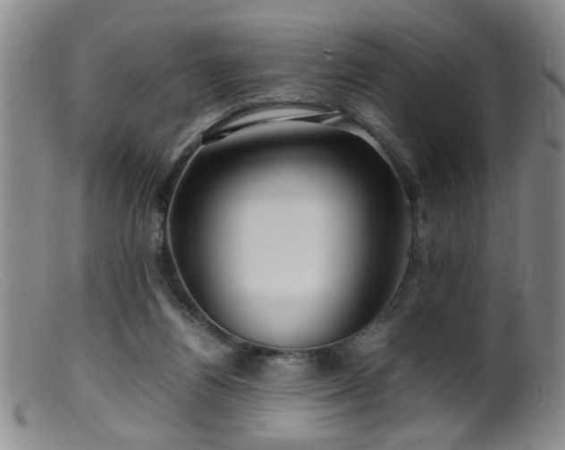 X0000099460164200805161055