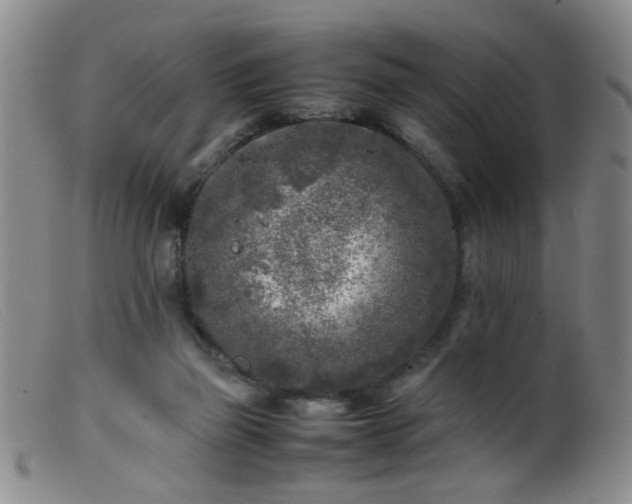 X0000099460165200805161055