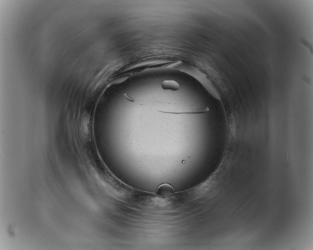 X0000099460166200805161055