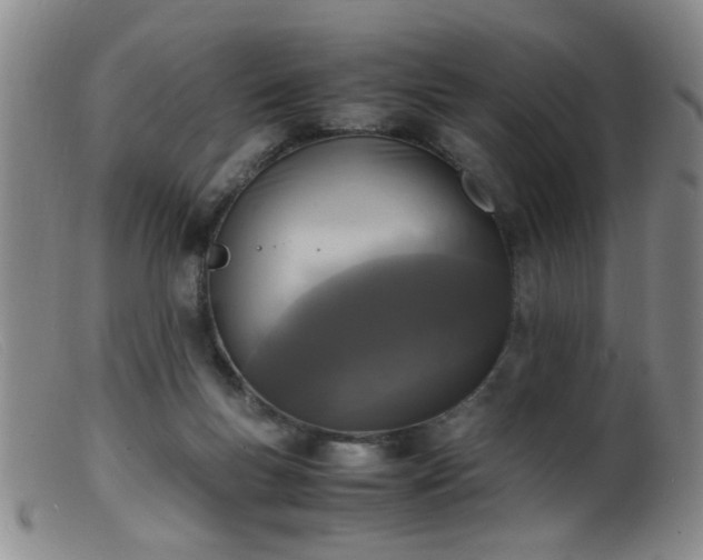 X0000099460167200805161055