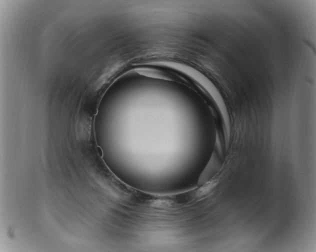 X0000099460168200805161056