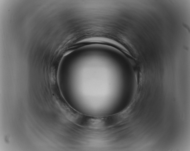 X0000099460170200805161056