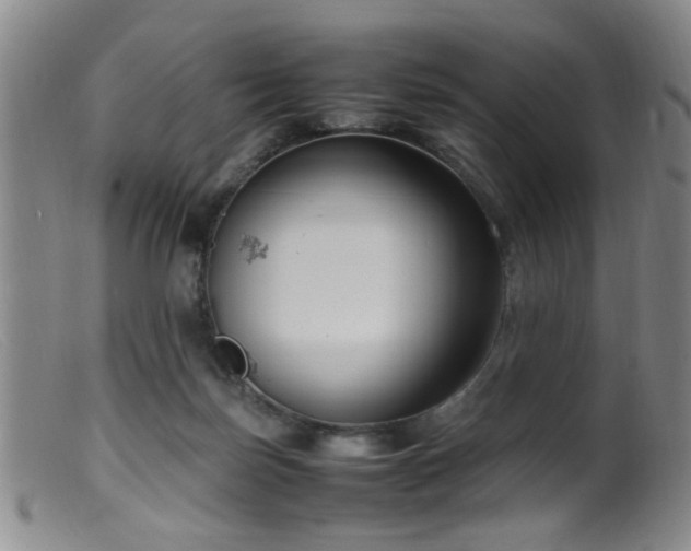 X0000099460171200805161056