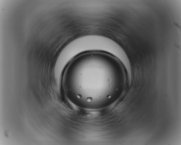 X0000099460172200805161056