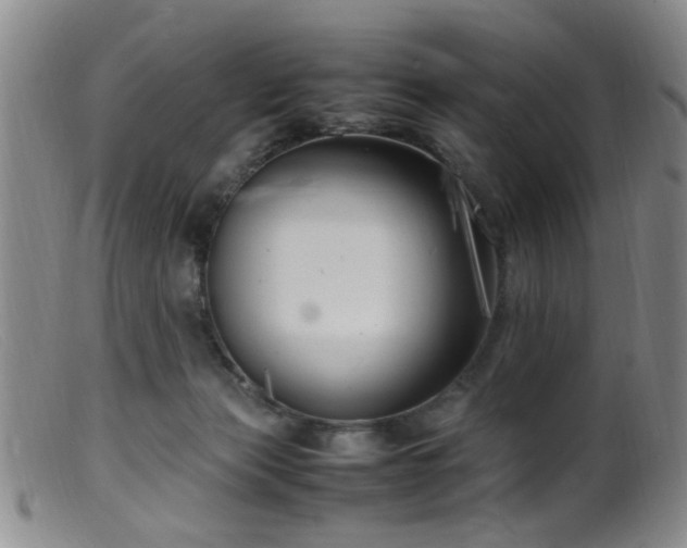X0000099460173200805161056