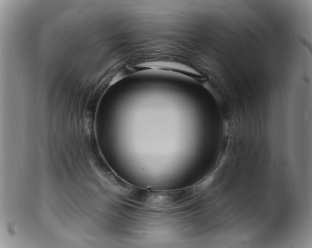 X0000099460174200805161056