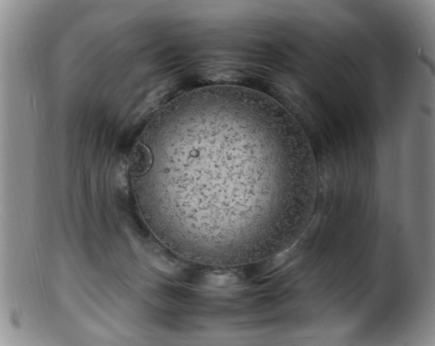 X0000099460175200805161056