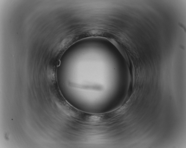 X0000099460176200805161056