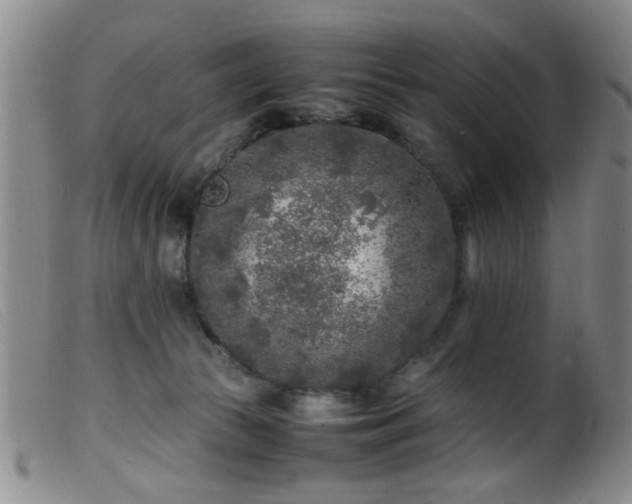 X0000099460177200805161056