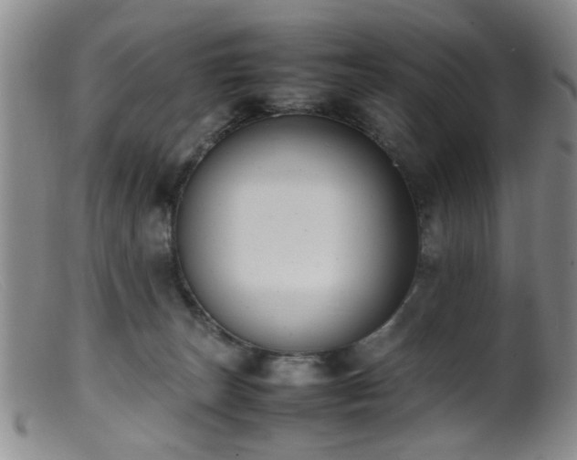 X0000099460179200805161056