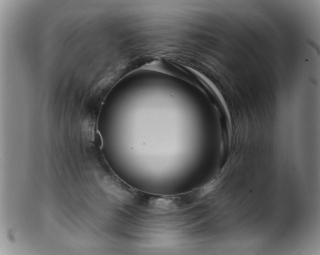 X0000099460180200805161056