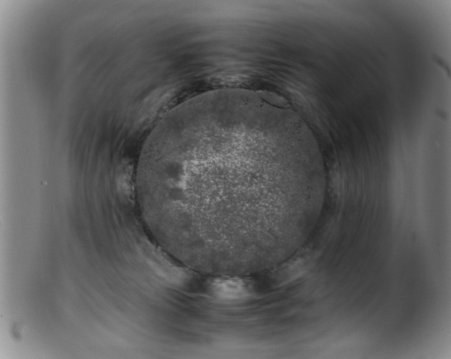 X0000099460181200805161056