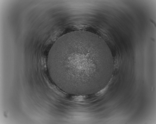 X0000099460182200805161056