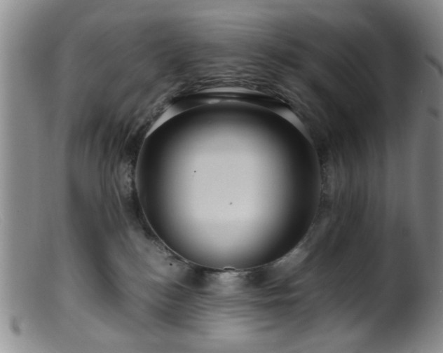 X0000099460184200805161056