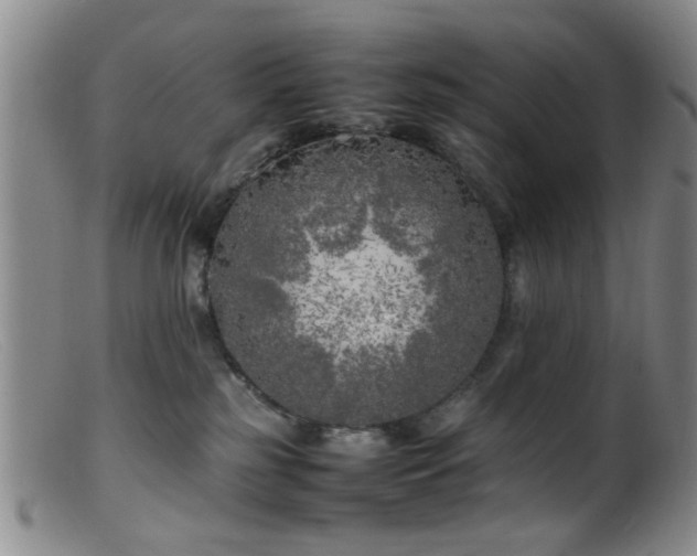 X0000099460185200805161056