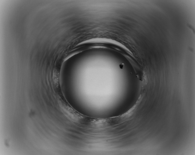 X0000099460186200805161056