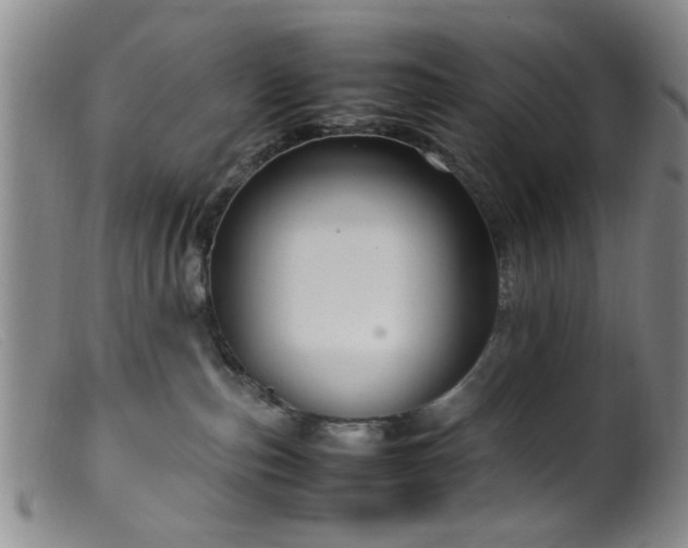 X0000099460187200805161056