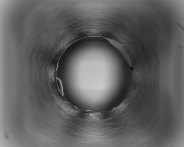 X0000099460188200805161056