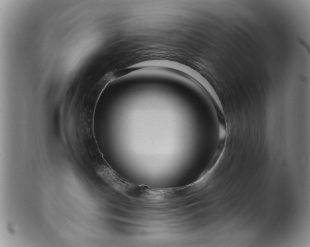 X0000099460190200805161056