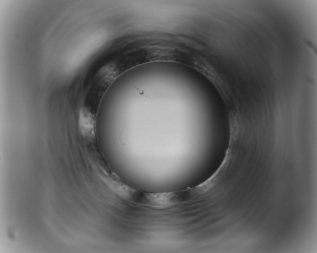 X0000099460191200805161056