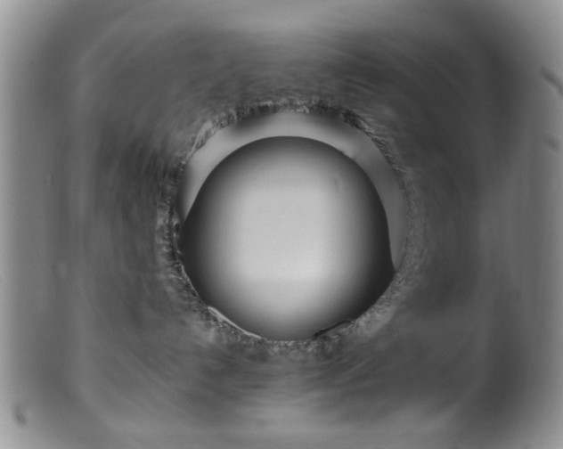 X0000099460192200805161056