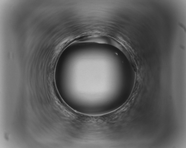 X0000099460193200805161055