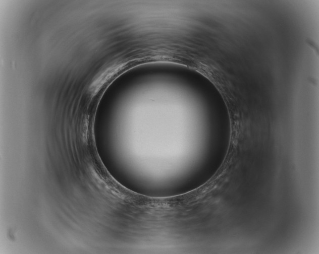 X0000099460194200805161055