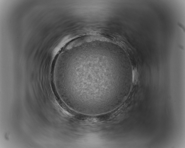 X0000099460195200805161055