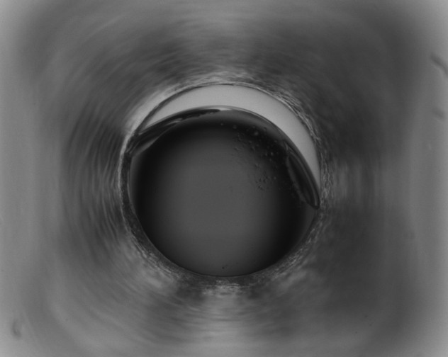 X0000099460196200805161055