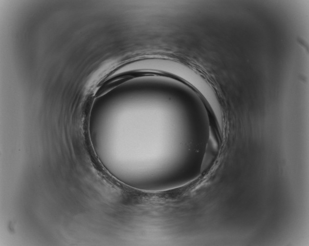 X0000099460197200805161055