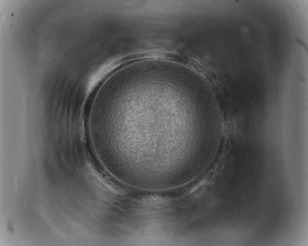 X0000099460198200805161055