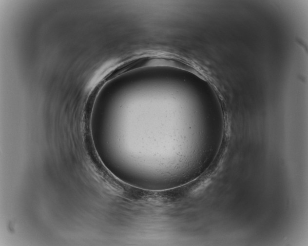 X0000099460199200805161055