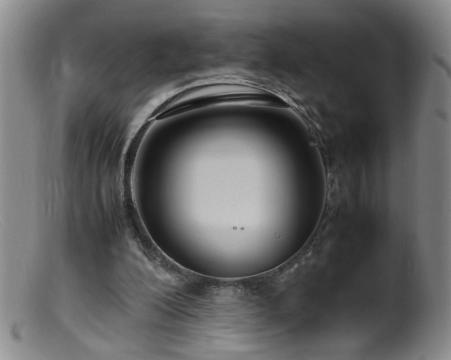 X0000099460200200805161055