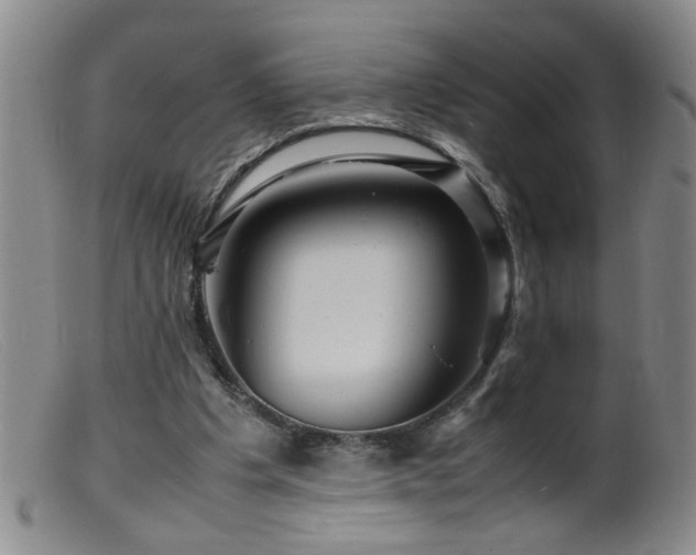 X0000099460201200805161055