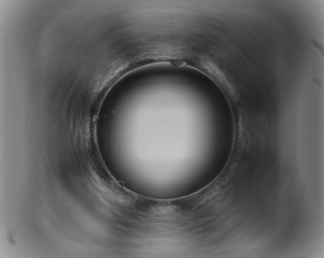 X0000099460202200805161055