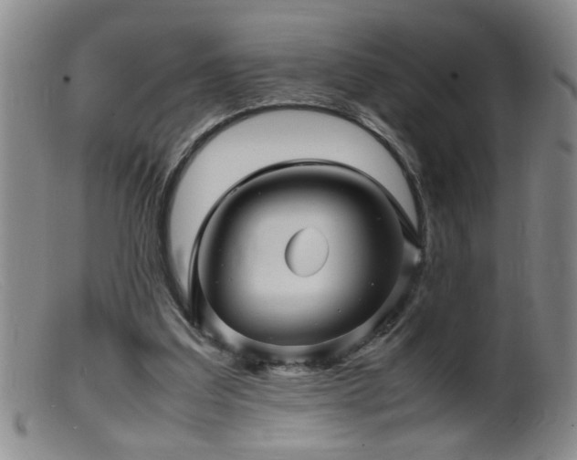 X0000099460203200805161055