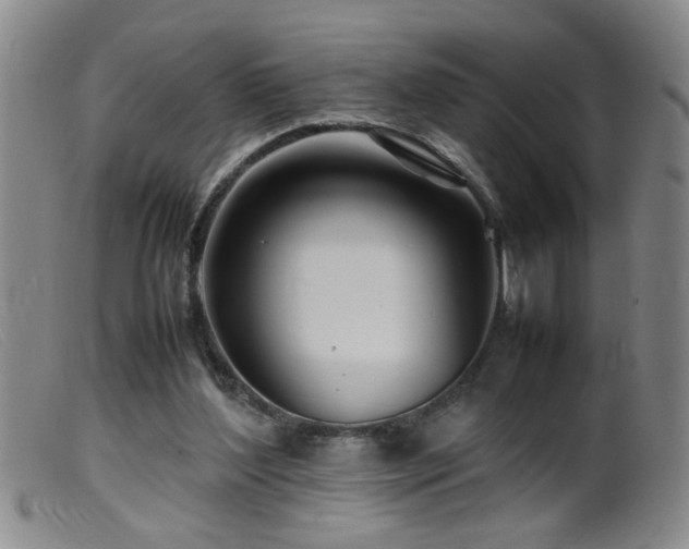 X0000099460204200805161055