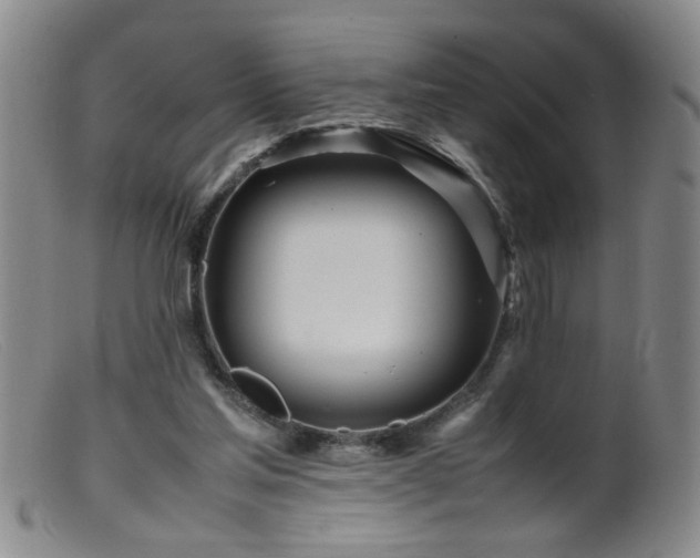 X0000099460205200805161055