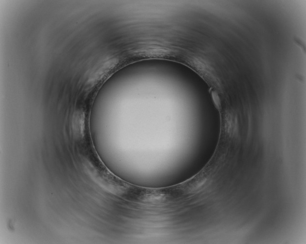 X0000099460206200805161055