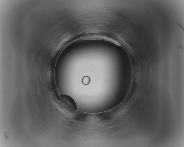 X0000099460207200805161055