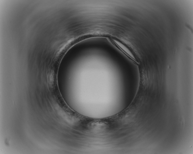 X0000099460208200805161055