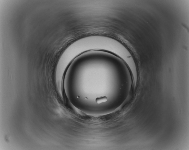 X0000099460209200805161055