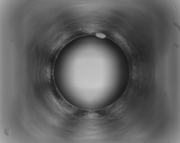 X0000099460210200805161055