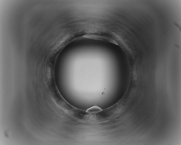 X0000099460211200805161055