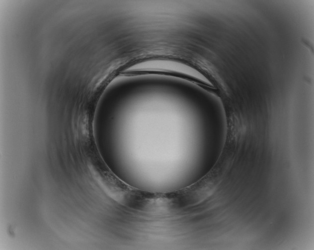 X0000099460212200805161055