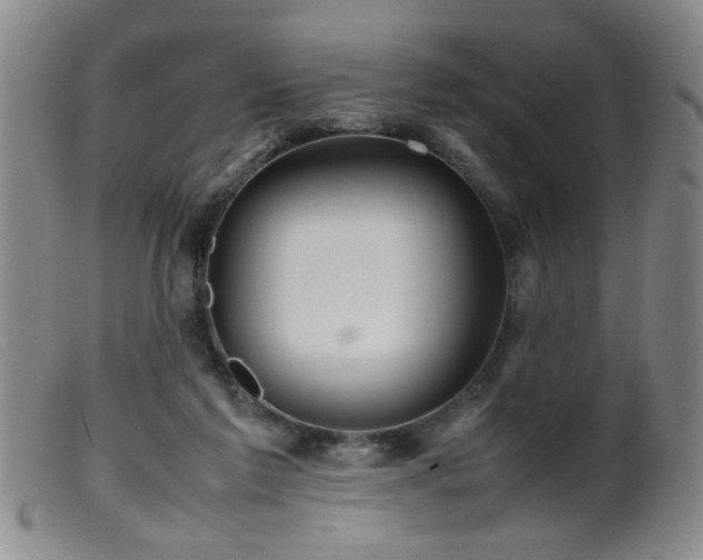 X0000099460213200805161055